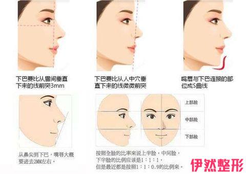 胶原蛋白能作用于重整下巴颏儿吗？