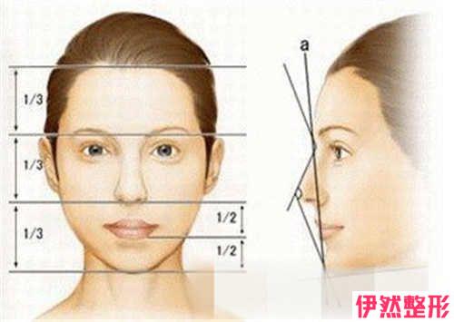 3D微创隆鼻的价格到底多少呢